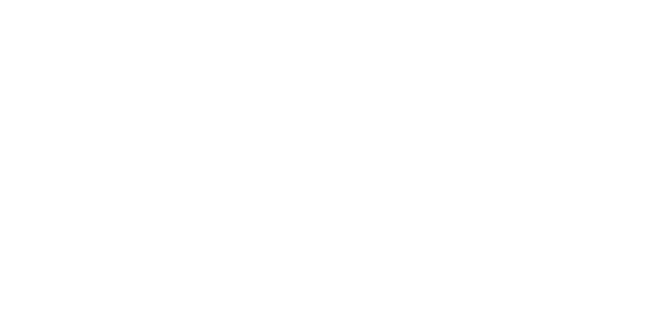 嘉實(shí)
